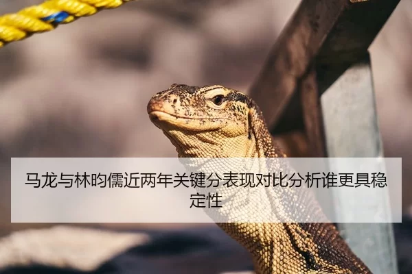 马龙与林昀儒近两年关键分表现对比分析谁更具稳定性