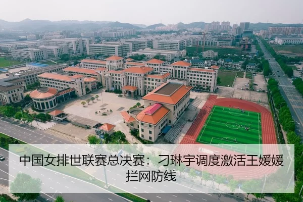 中国女排世联赛总决赛：刁琳宇调度激活王媛媛拦网防线