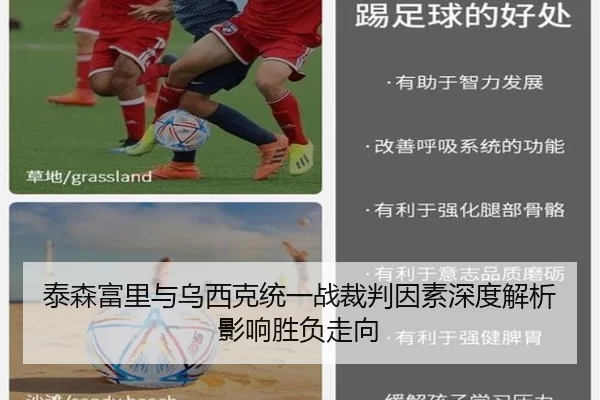 泰森富里与乌西克统一战裁判因素深度解析影响胜负走向