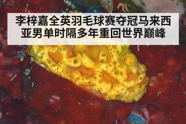 李梓嘉全英羽毛球赛夺冠马来西亚男单时隔多年重回世界巅峰