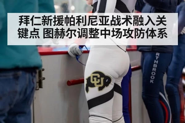 拜仁新援帕利尼亚战术融入关键点 图赫尔调整中场攻防体系