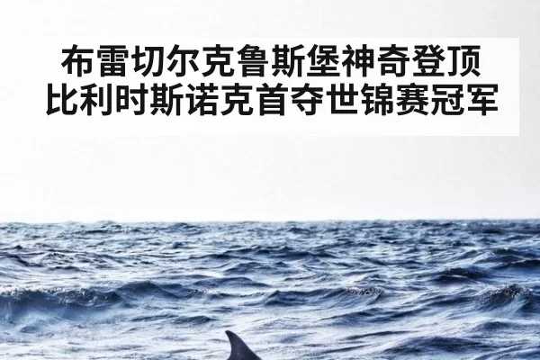 布雷切尔克鲁斯堡神奇登顶 比利时斯诺克首夺世锦赛冠军
